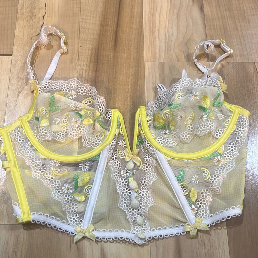 FOR LOVE AND LEMONS X VICTORIA SECRET CORSET